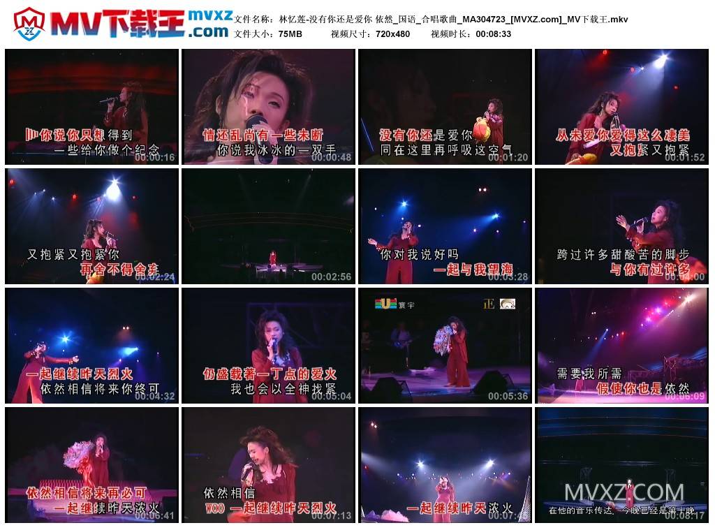 林忆莲-没有你还是爱你 依然_国语_合唱歌曲_MA304723